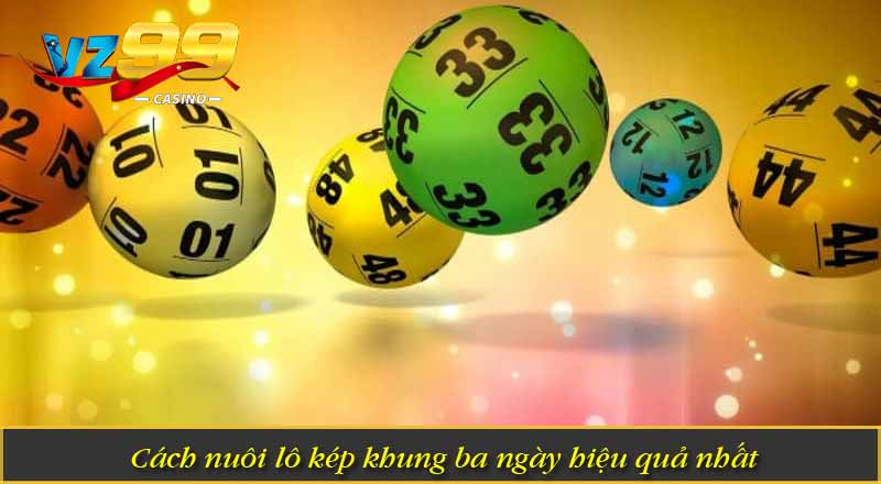 Cách nuôi lô kép khung 3 ngày hiệu quả nhất